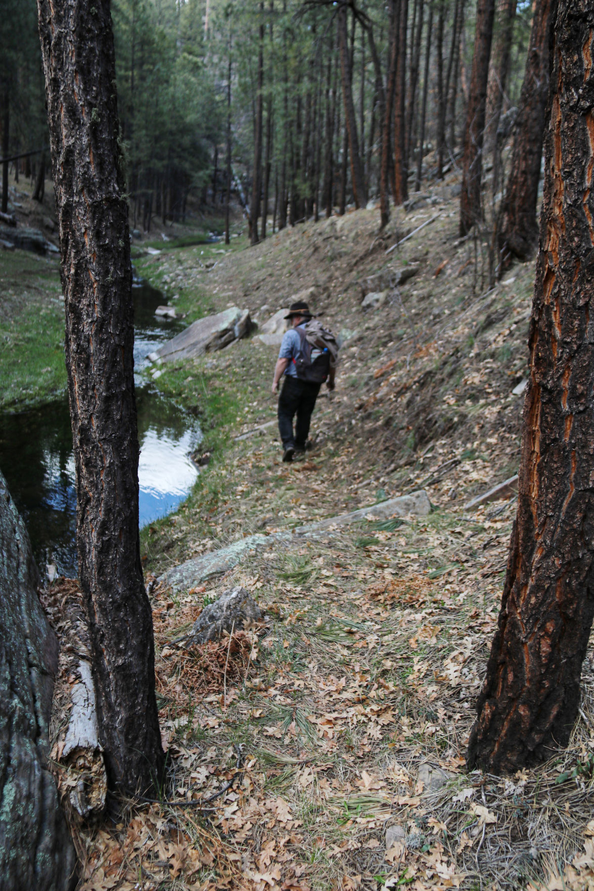Pete framed by trees Clover Creek